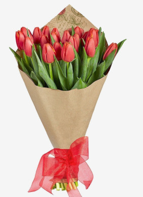 25 røde tulipaner Image