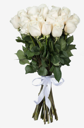 Hvide roser Image