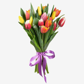 Buket med 15 tulipaner Image
