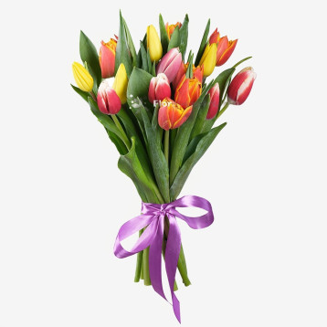 Buket med 15 tulipaner
