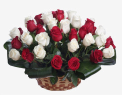 Kurv med røde og hvide roser
