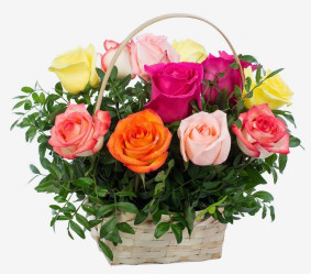 Rainbow Roses Basket Image