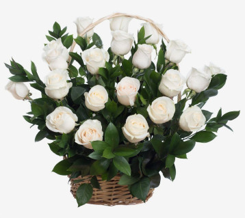 Kurv med hvide roser