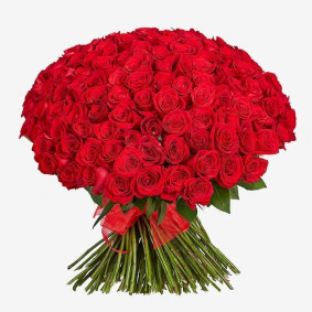 150 røde roser Image