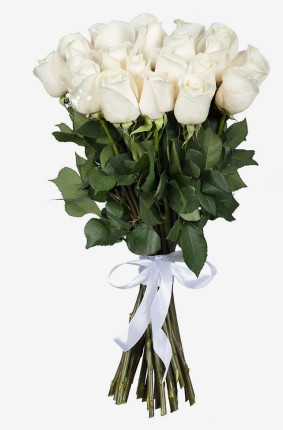 Hvide roser Image