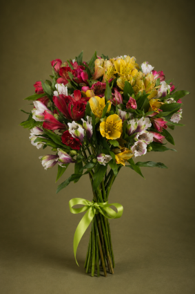 11 alstroemeriaer