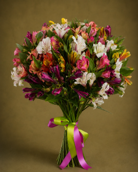35 Alstroemerias